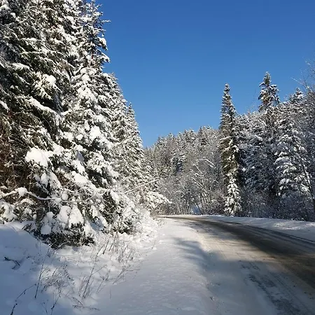 Tylicki Zdroj ファームステイ ティリチ