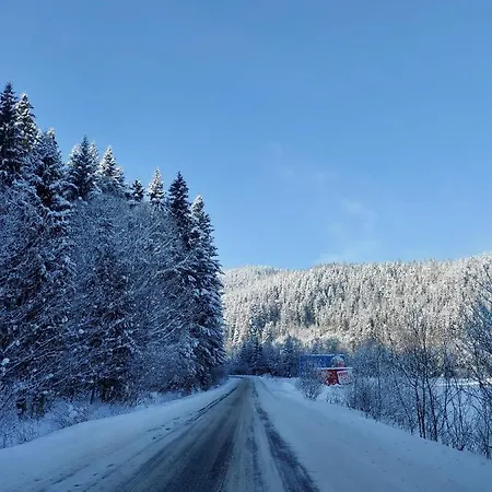 ファームステイ Tylicki Zdroj